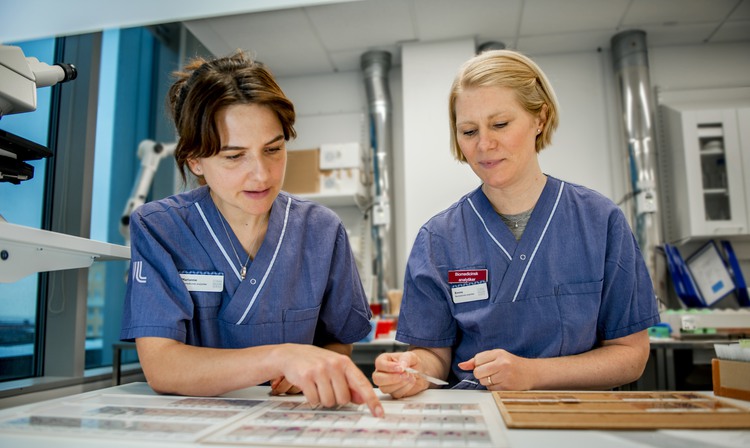 Två kvinnor i sjukhusuniform på ett laboratorium som granskar ett provark.